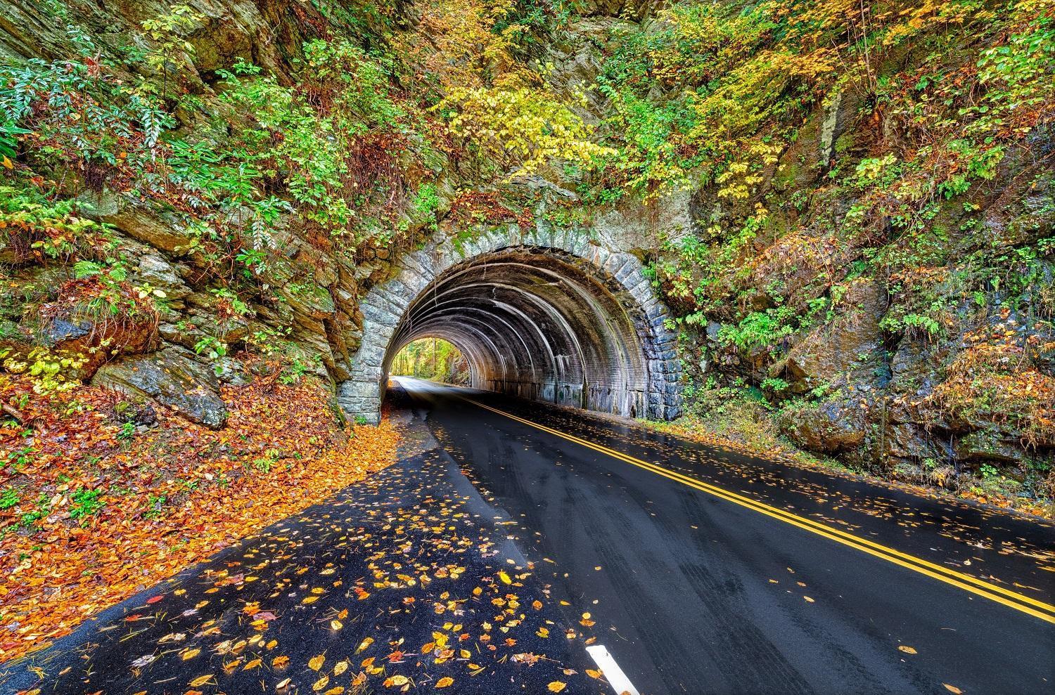 A Great Escape - Get 1089 Of Free Area Attraction Tickets For Each Paid Day, Dollywood And More! Pigeon Forge Dış mekan fotoğraf